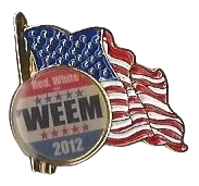 weem37pin