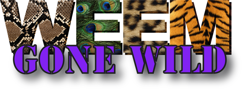 weem38Logo